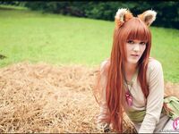 CosplayDeviants 2335_LittleFox Photos