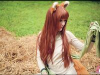 CosplayDeviants 2335_LittleFox Photos
