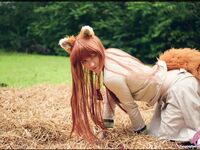 CosplayDeviants 2335_LittleFox Photos