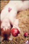CosplayDeviants 2335_LittleFox Photos