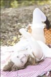 CosplayDeviants 26620_TheOriginal Photos