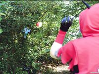 CosplayDeviants 26624_InitialBattle Photos