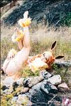 CosplayDeviants 26627_FireStone Photos