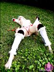 CosplayDeviants 677_Hunter Photos