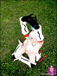 CosplayDeviants 677_Hunter Photos