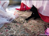 CosplayDeviants 699_WhiteWolf Photos