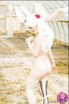 CosplayDeviants 739_Doll Photos