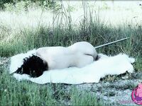 CosplayDeviants 763_Princess Photos