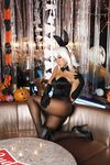 Nonsummerjack Bunny Selection Photos