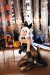 Nonsummerjack Bunny Selection Photos