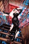 Nonsummerjack Chatter Kitten Photos