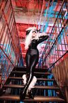 Nonsummerjack Chatter Kitten Photos