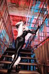 Nonsummerjack Chatter Kitten Photos