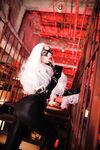 Nonsummerjack Chatter Kitten Photos