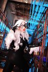 Nonsummerjack Chatter Kitten Photos