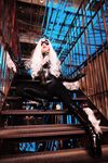 Nonsummerjack Chatter Kitten Photos