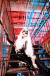 Nonsummerjack Chatter Kitten Photos