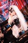 Nonsummerjack Chatter Kitten Photos