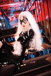 Nonsummerjack Chatter Kitten Photos