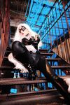 Nonsummerjack Chatter Kitten Photos