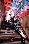 Nonsummerjack Chatter Kitten Photos