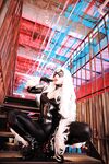 Nonsummerjack Chatter Kitten Photos