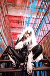 Nonsummerjack Chatter Kitten Photos