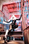 Nonsummerjack Chatter Kitten Photos