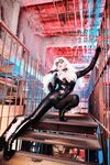 Nonsummerjack Chatter Kitten Photos