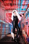 Nonsummerjack Chatter Kitten Photos