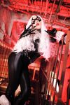 Nonsummerjack Chatter Kitten Photos