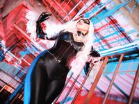 Nonsummerjack Chatter Kitten Photos