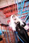 Nonsummerjack Chatter Kitten Photos