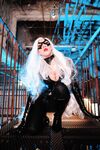Nonsummerjack Chatter Kitten Photos