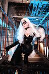 Nonsummerjack Chatter Kitten Photos