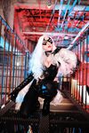 Nonsummerjack Chatter Kitten Photos