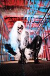 Nonsummerjack Chatter Kitten Photos