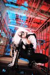 Nonsummerjack Chatter Kitten Photos