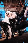 Nonsummerjack Chatter Kitten Photos
