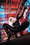 Nonsummerjack Chatter Kitten Photos