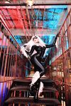 Nonsummerjack Chatter Kitten Photos