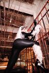 Nonsummerjack Chatter Kitten Photos