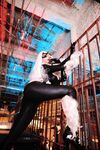 Nonsummerjack Chatter Kitten Photos
