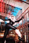 Nonsummerjack Chatter Kitten Photos