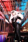 Nonsummerjack Chatter Kitten Photos