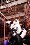 Nonsummerjack Chatter Kitten Photos
