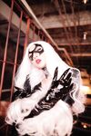 Nonsummerjack Chatter Kitten Photos