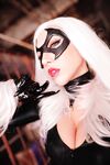 Nonsummerjack Chatter Kitten Photos