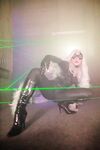 Nonsummerjack Chatter Kitten Photos