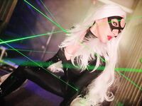 Nonsummerjack Chatter Kitten Photos